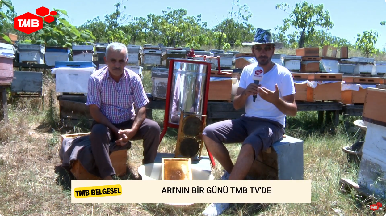 Bu Hafta TMBTV’de: Arıların Dünyası Belgesel